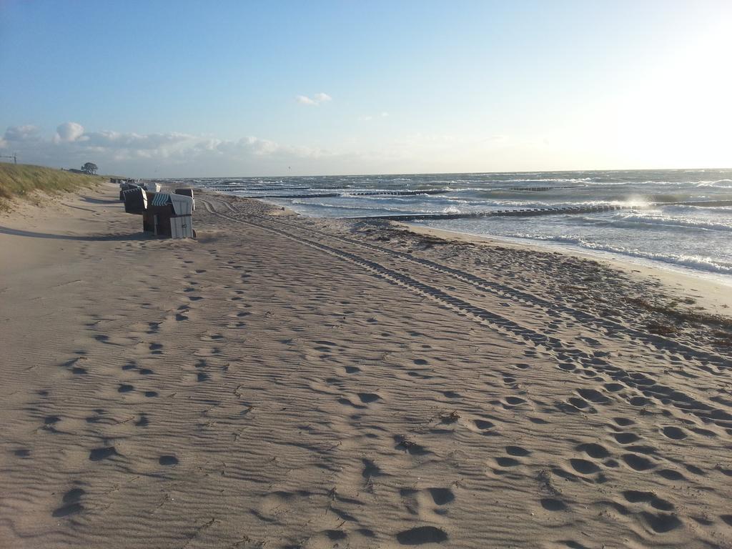Morgensuenn Am *